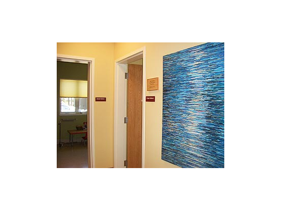 Exam Room Corridor / Local Artists' Artwork