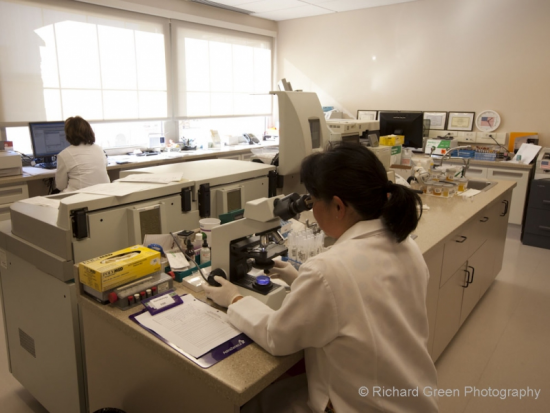 Lab Services On Site